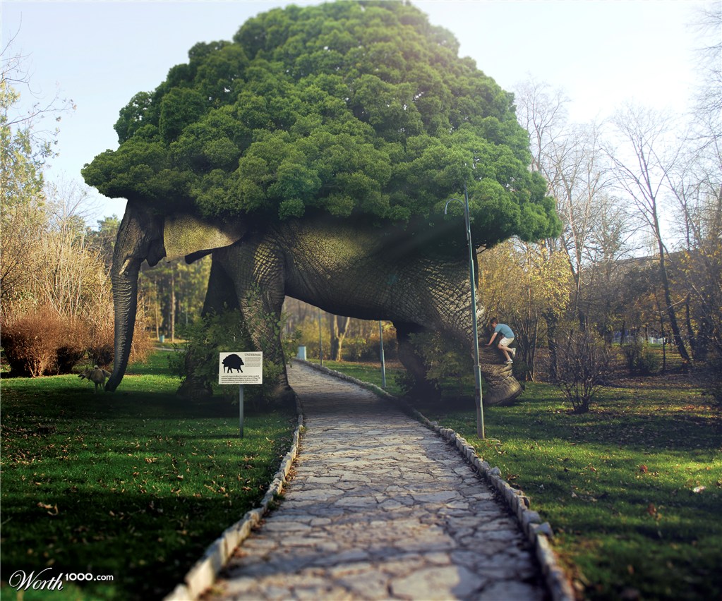 Необычные картинки. Дерево - шедевр, сад Folly, Великобритания. Сад Folly Великобритания. Дерево слон сад Folly. Дерево слон Великобритания.