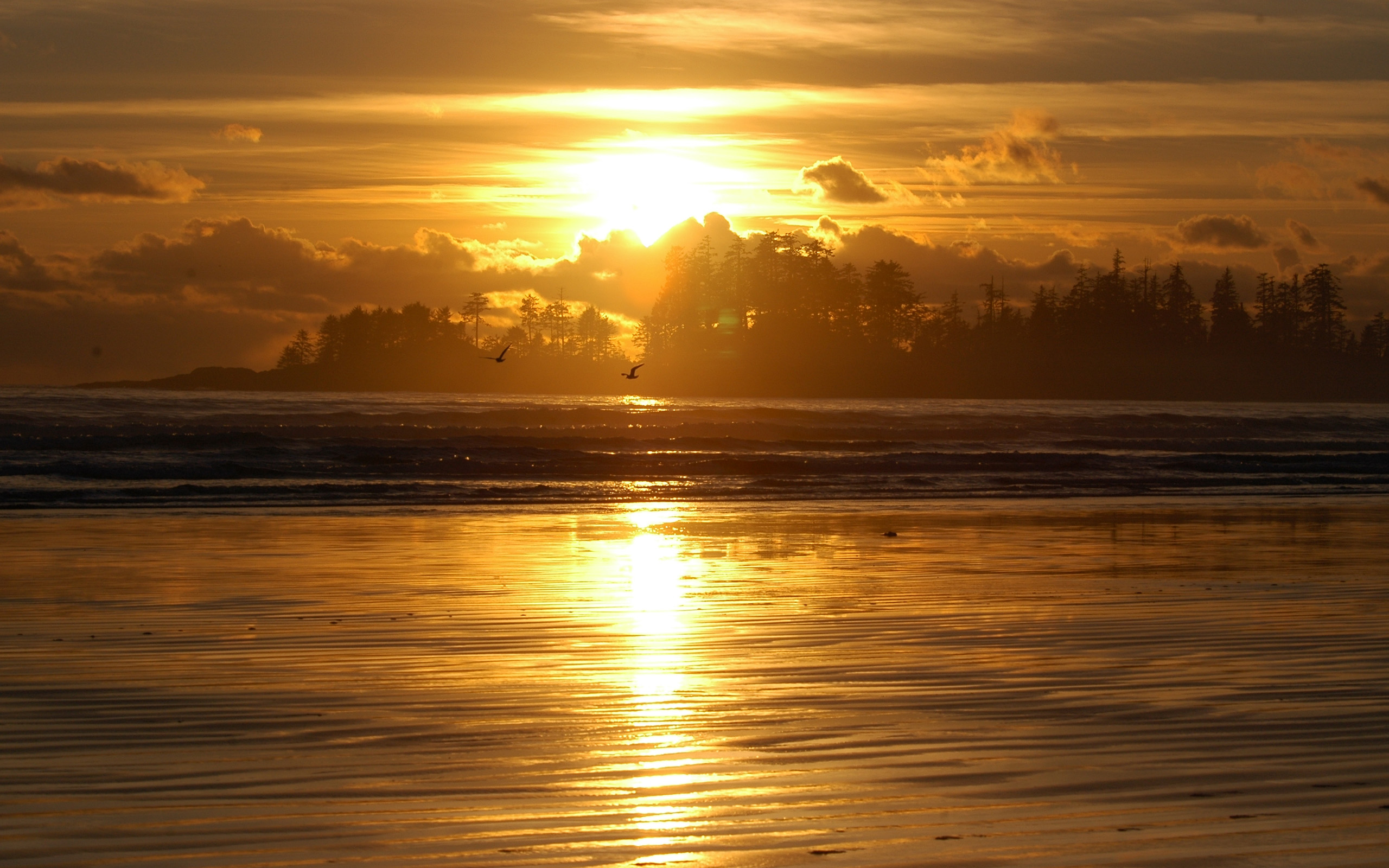 Gold sunset. Рассвет на море. Закат солнца. Красивый закат на море. Золотой закат.